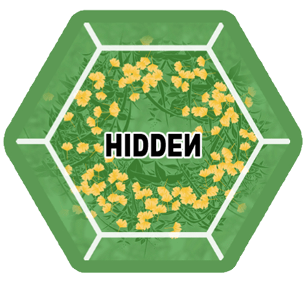 Hidden terrain icon
